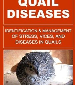 Quail Diseases: Identification And Management Of Stress, Vices, And Diseases In Quails