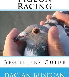 Pigeon Racing: Beginners Guide