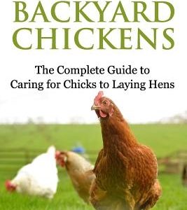 How To Raise Backyard Chickens: The Complete Guide to Caring for Chicks to Laying Hens