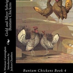 Gold and Silver Sebright Bantam Chickens