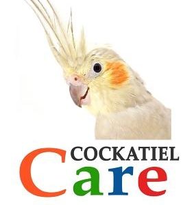 Cockatiels: The Essential Guide to Ownership, Care, & Training For Your Pet