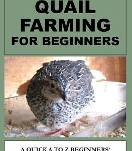 Quail Farming For Beginners: A Quick A To Z Beginners' Guide On Raising Healthy Quails