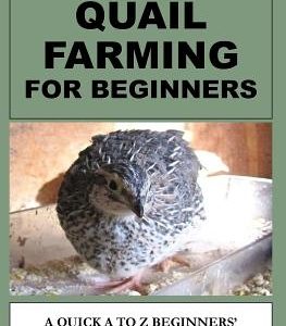 Quail Farming For Beginners: A Quick A To Z Beginners' Guide On Raising Healthy Quails