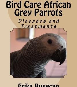 Bird Care African Grey Parrots: Diseases and Treatments