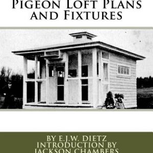 Pigeon Loft Plans and Fixtures