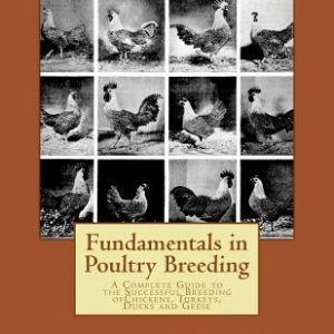 Fundamentals in Poultry Breeding: A Complete Guide to the Successful Breeding ofChickens, Turkeys, Ducks and Geese
