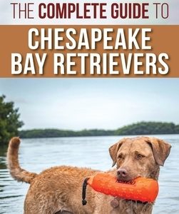 The Complete Guide to Chesapeake Bay Retrievers: Training, Socializing, Feeding, Exercising, Caring for, and Loving Your New Chessie Puppy