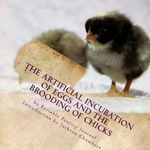 The Artificial Incubation of Eggs and the Brooding of Chicks
