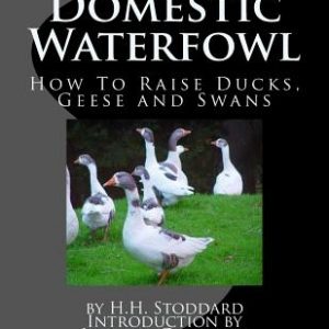 Domestic Waterfowl: How To Raise Ducks, Geese and Swans
