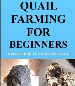 Quail Farming For Beginners: Everything You Need To Know (Revised And Updated)