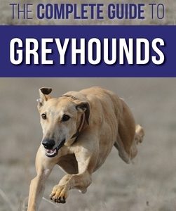 The Complete Guide to Greyhounds: Finding, Raising, Training, Exercising, Socializing, Properly Feeding and Loving Your New Greyhound Dog
