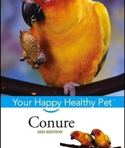 Conure: Your Happy Healthy Pet