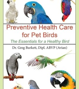 Preventative Health Care for Pet Birds: The Essentials for a Healthy Bird