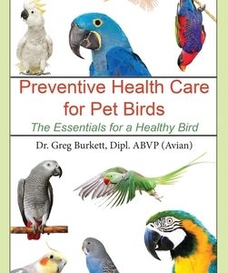 Preventative Health Care for Pet Birds: The Essentials for a Healthy Bird