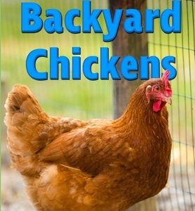 Becky's Guide To Raising Backyard Chickens