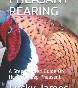 Pheasant Rearing: A Step By Step Guide On How To Keep Pheasant