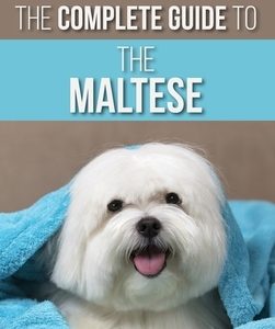The Complete Guide to the Maltese: Choosing, Raising, Training, Socializing, Feeding, and Loving Your New Maltese Puppy