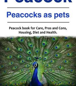 Peacock. Peacocks as pets. Peacock book for Care, Pros and Cons, Housing, Diet and Health.