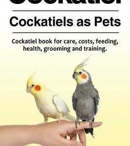 Cockatiel. Cockatiels as Pets. Cockatiel book for care, costs, feeding, health, grooming and training.