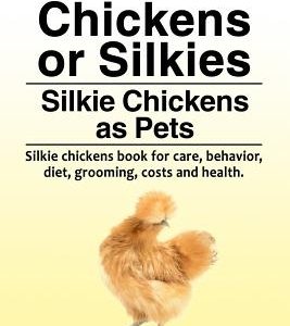 Silkie Chickens or Silkies. Silkie Chickens as Pets. Silkie chickens book for care, behavior, diet, grooming, costs and health.