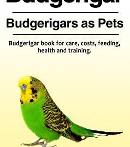Budgerigar. Budgerigars as Pets. Budgerigar book for care, costs, feeding, health and training.