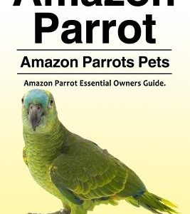 Amazon Parrot. Amazon Parrots Pets. Amazon Parrot Essential Owners Guide.