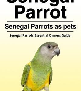 Senegal Parrot. Senegal Parrots as pets. Senegal Parrots Essential Owners Guide.