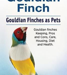 Gouldian finch. Gouldian Finches as Pets. Gouldian finches Keeping, Pros and Cons, Care, Housing, Diet and Health.