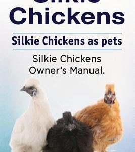 Silkie Chickens. Silkie Chickens as pets. Silkie chickens owner's manual.