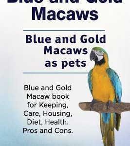 Blue and Gold Macaws. Blue and Gold Macaws as pets. Blue and Gold Macaw book for Keeping, Care, Housing, Diet, Health. Pros and Cons.