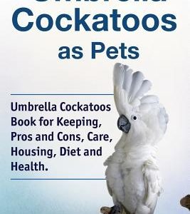 Umbrella Cockatoos as Pets. Umbrella Cockatoos Book for Keeping, Pros and Cons, Care, Housing, Diet and Health.