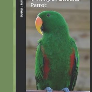 Owning an Eclectus Parrot