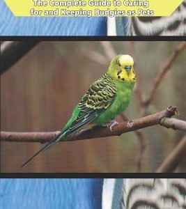 Budgie Care: The Complete Guide to Caring for and Keeping Budgies as Pets