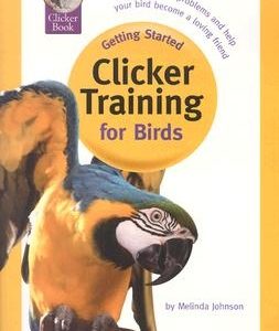 Clicker Training for Birds