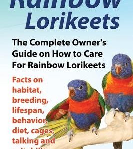 Rainbow Lorikeets, The Complete Owner's Guide on How to Care For Rainbow Lorikeets, Facts on habitat, breeding, lifespan, behavior, diet, cages, talki