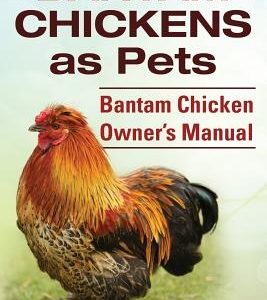 Bantam Chickens. Bantam Chickens as Pets. Bantam Chicken Owner's Manual