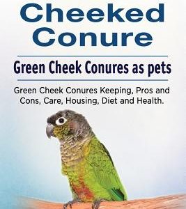 Green Cheeked Conure. Green Cheek Conures as pets. Green Cheek Conures Keeping, Pros and Cons, Care, Housing, Diet and Health.