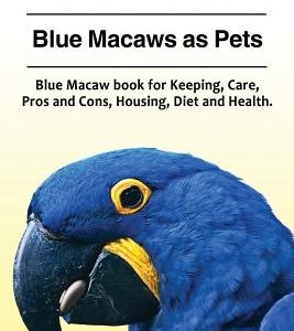 Blue Macaw. Blue Macaws as Pets. Blue Macaw book for Keeping, Pros and Cons, Care, Housing, Diet and Health.
