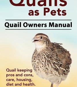 Quails as Pets. Quail Owners Manual. Quail keeping pros and cons, care, housing, diet and health.
