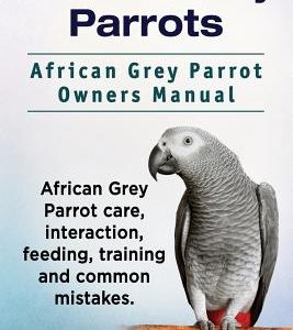African Grey Parrots. African Grey Parrot Owners Manual. African Grey Parrot care, interaction, feeding, training and common mistakes.