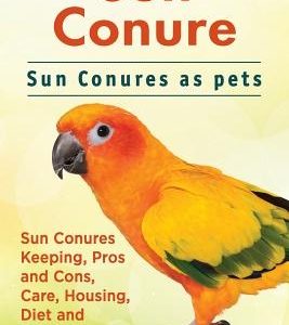 Sun Conure. Sun Conures as pets. Sun Conures Keeping, Pros and Cons, Care, Housing, Diet and Health.