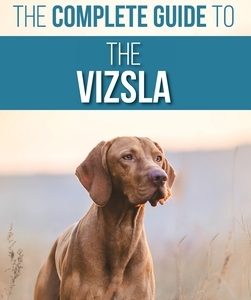 The Complete Guide to the Vizsla: Selecting, Feeding, Training, Exercising, Socializing, and Loving Your New Vizsla