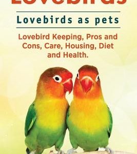 Lovebirds. Lovebirds as pets. Lovebird Keeping, Pros and Cons, Care, Housing, Diet and Health.