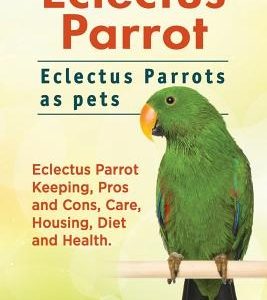 Eclectus Parrot. Eclectus Parrots as pets. Eclectus Parrot Keeping, Pros and Cons, Care, Housing, Diet and Health.