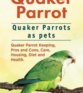 Quaker Parrot. Quaker Parrots as pets. Quaker Parrot Keeping, Pros and Cons, Care, Housing, Diet and Health.