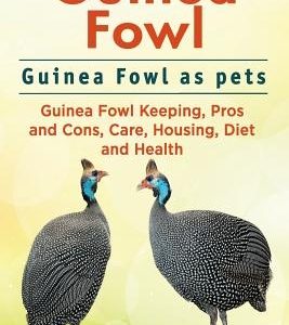 Guinea Fowl. Guinea Fowl as pets. Guinea Fowl Keeping, Pros and Cons, Care, Housing, Diet and Health.