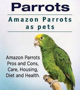 Amazon Parrots. Amazon Parrots as pets. Amazon Parrots Pros and Cons, Care, Housing, Diet and Health.