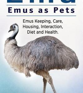 Emu. Emus as Pets. Emus Keeping, Care, Housing, Interaction, Diet and Health