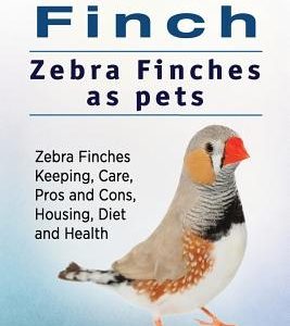 Zebra Finch. Zebra Finches as pets. Zebra Finches Keeping, Care, Pros and Cons, Housing, Diet and Health.