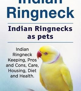 Indian Ringneck. Indian Ringnecks as pets. Indian Ringneck Keeping, Pros and Cons, Care, Housing, Diet and Health.